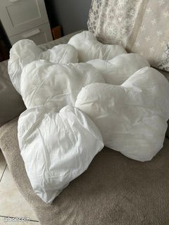 Coussins (image 1)