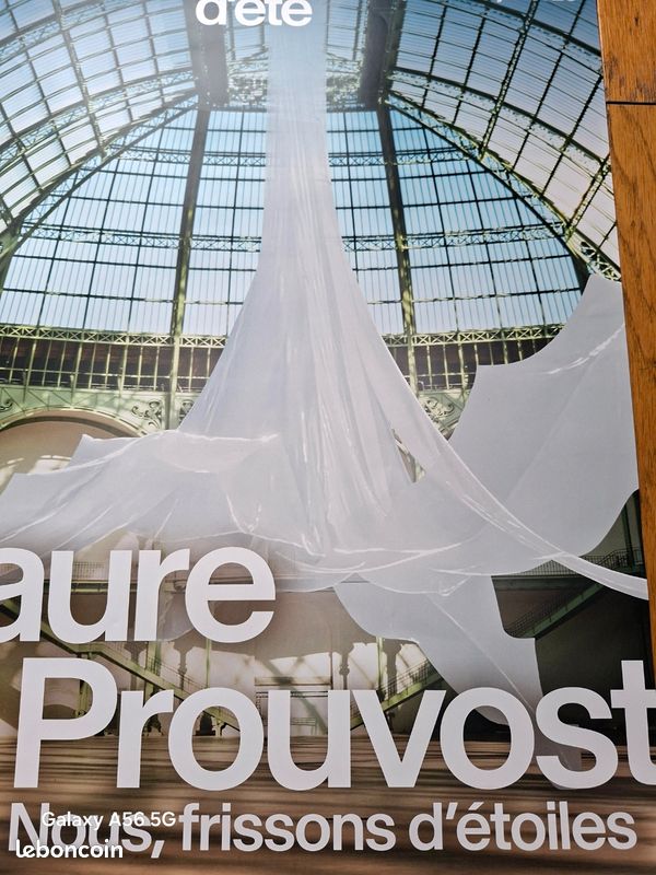 Affiche de l'exposition Laure Prouvost (image 2)