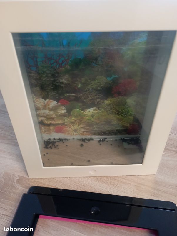 Petit aquarium (image 1)