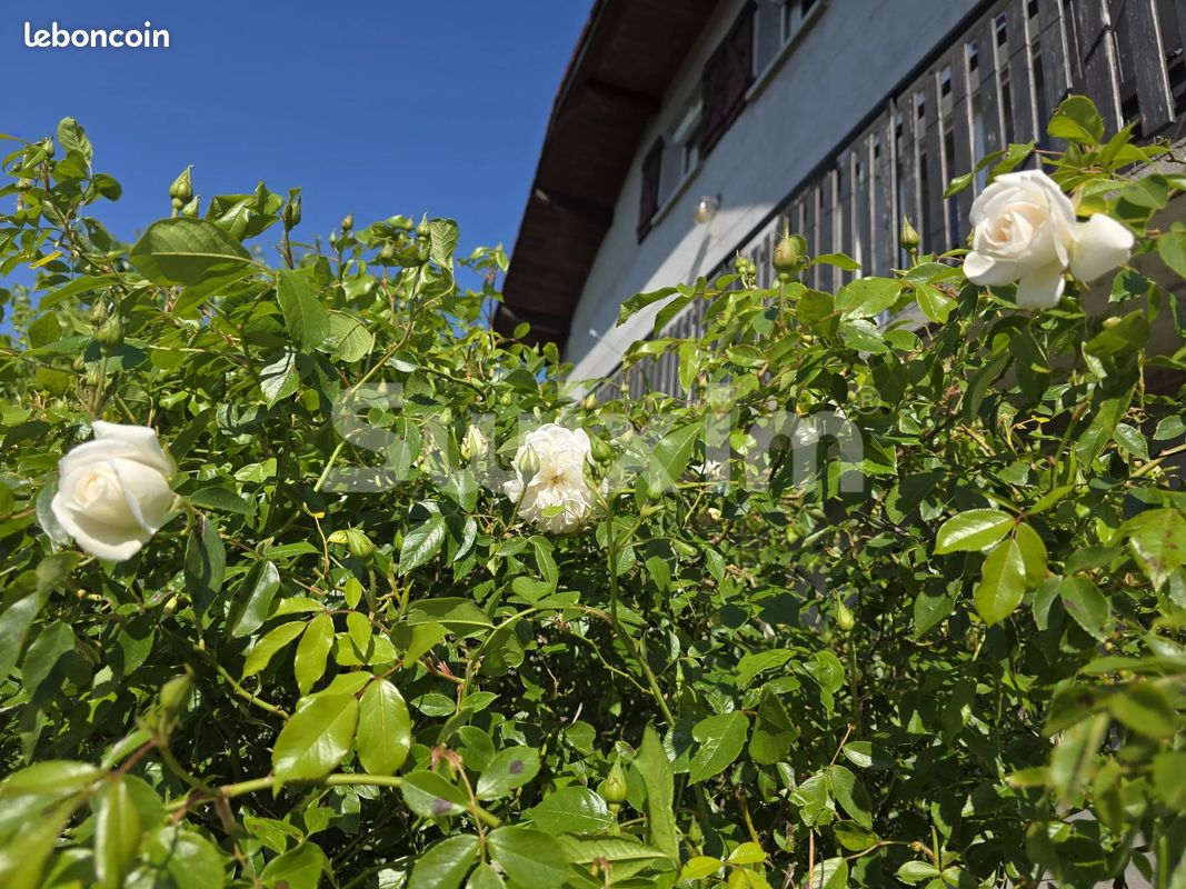 Maison 4 pièces 118 m² · à Culoz-Béon · 118 m² · 284 000 €