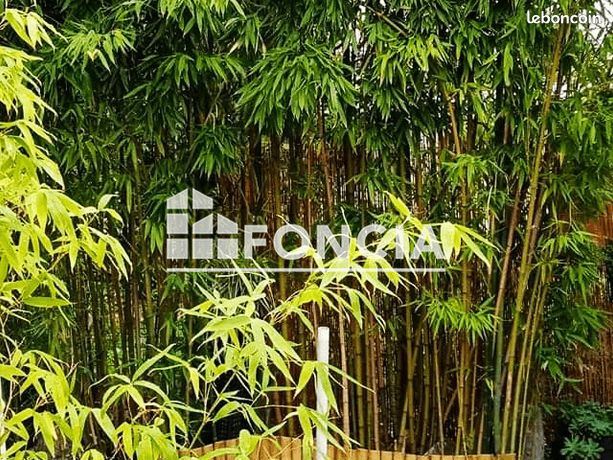 Maison a louer saint-maur-des-fosses - 2 pièce(s) - 35 m2 - Surfyn