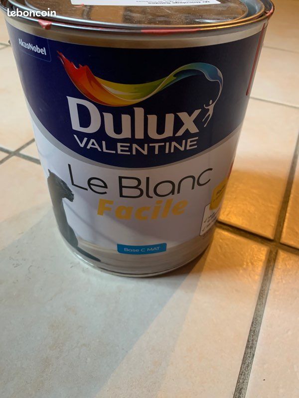 Peinture couleur brique 2,5L (image 3)