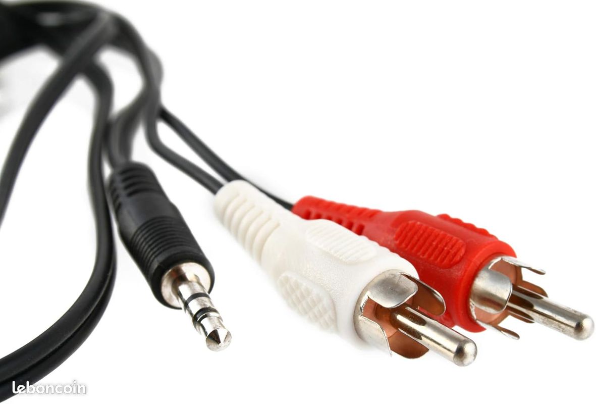 Kit Audio : Adaptateur Jack 6,35mm Vers RCA + Câble RCA-Jack 3,5mm 1,8m - Connexion Stéréo