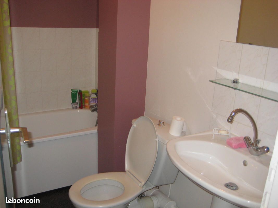 Studio meublé Limoges rue du Clos Augier - Limoges 87000 Vanteaux-CHU-Mas Bouyol-Puy Rodas (image principale 2)