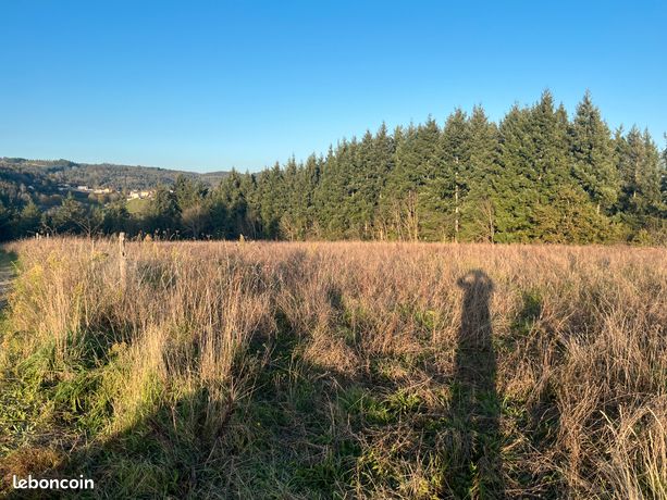 Pré de 11669m² a vendre