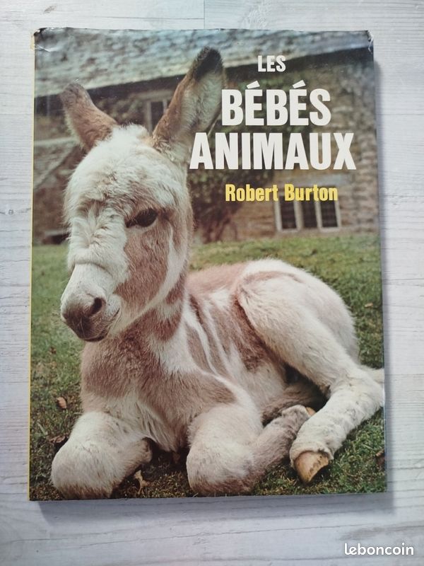 Livre Bébés animaux (image 1)