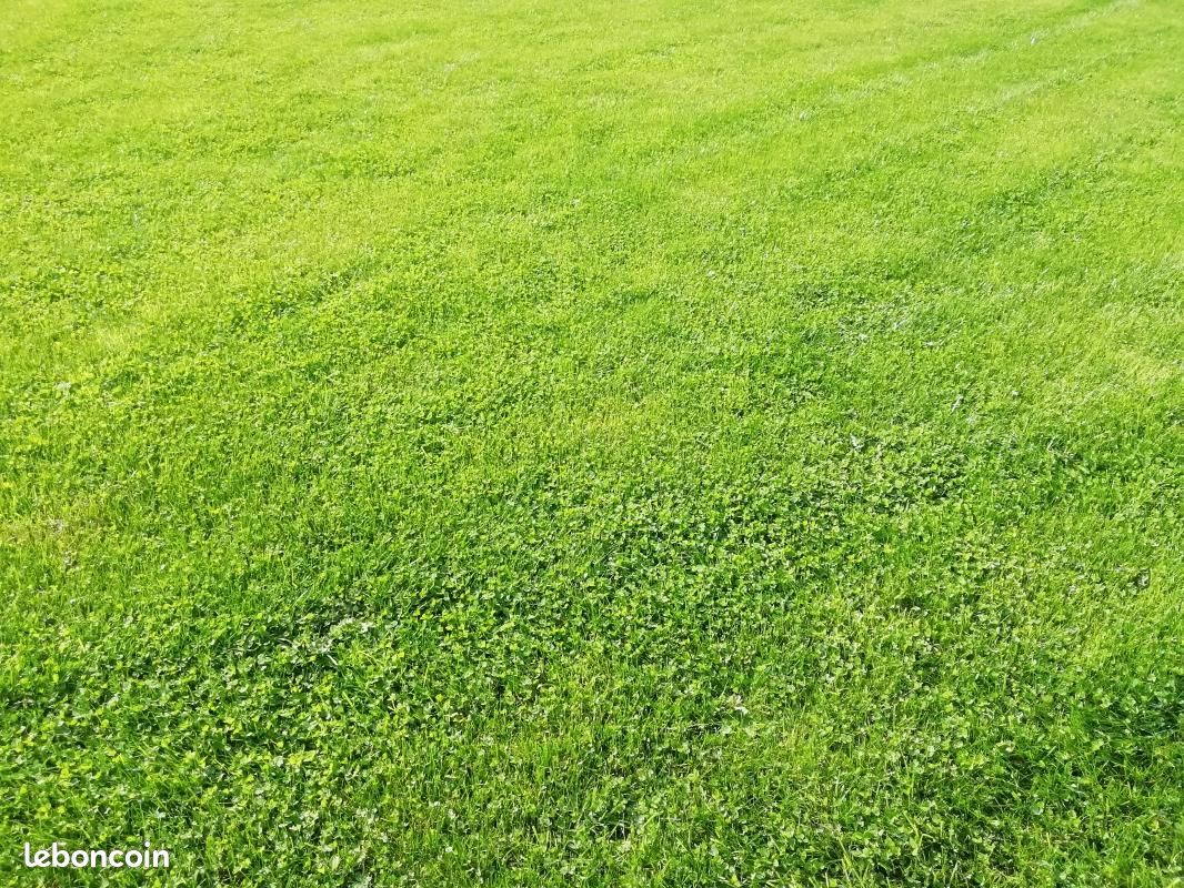 Terrain 665 m² · à Lamballe-Armor · 103 000 €