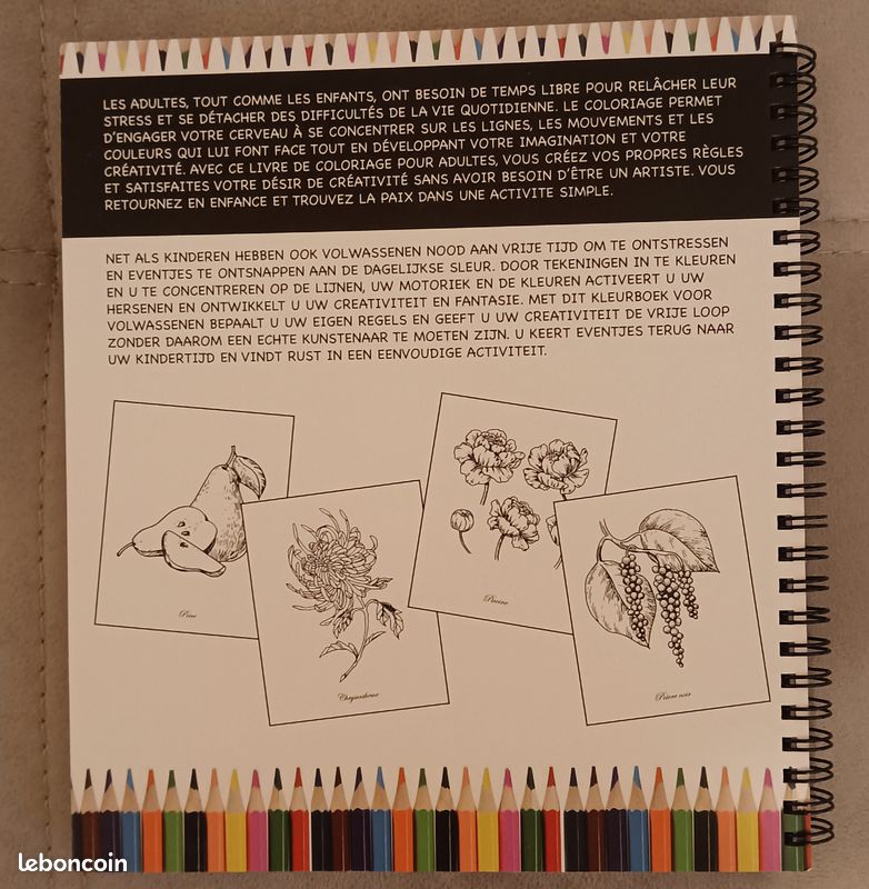 Livre de coloriage botanique (image 2)