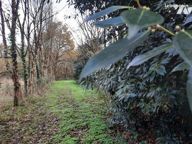 Terrain 12772 m² AIZENAY