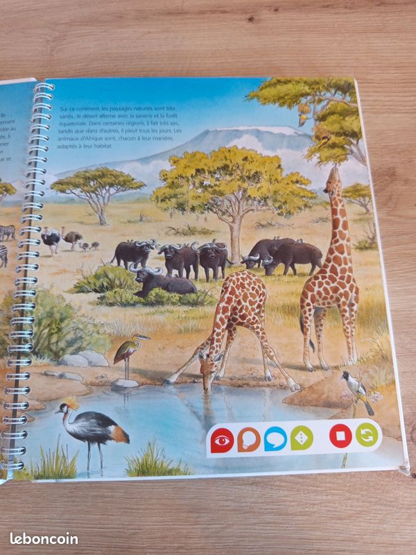 Livre tiptoi les animaux d'Afrique (image 3)