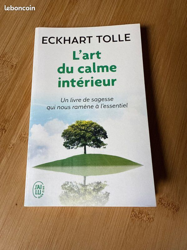 L’Art du Calme Intérieur (image 2)
