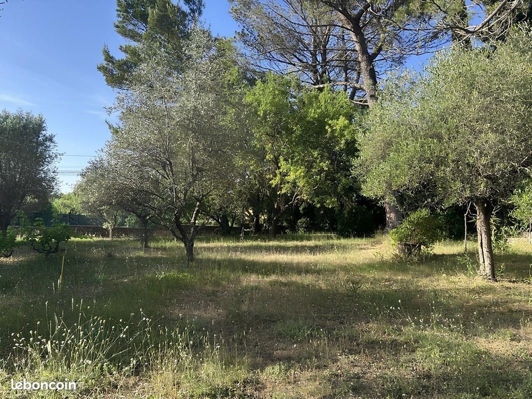 Beau terrain arboré de 725 m² à Brignoles · 138 000 €