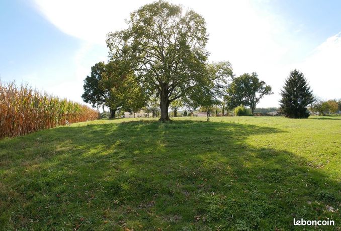Terrain 7466m2