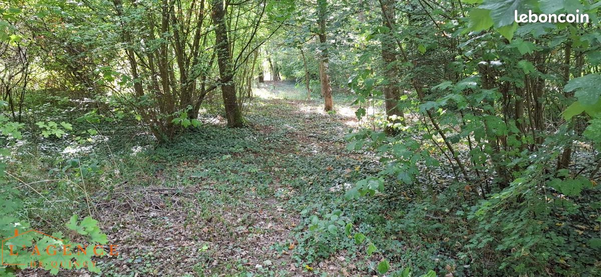 Terrain 1060 m² · à Quincy-Voisins · 1 060 m² · 10 000 €