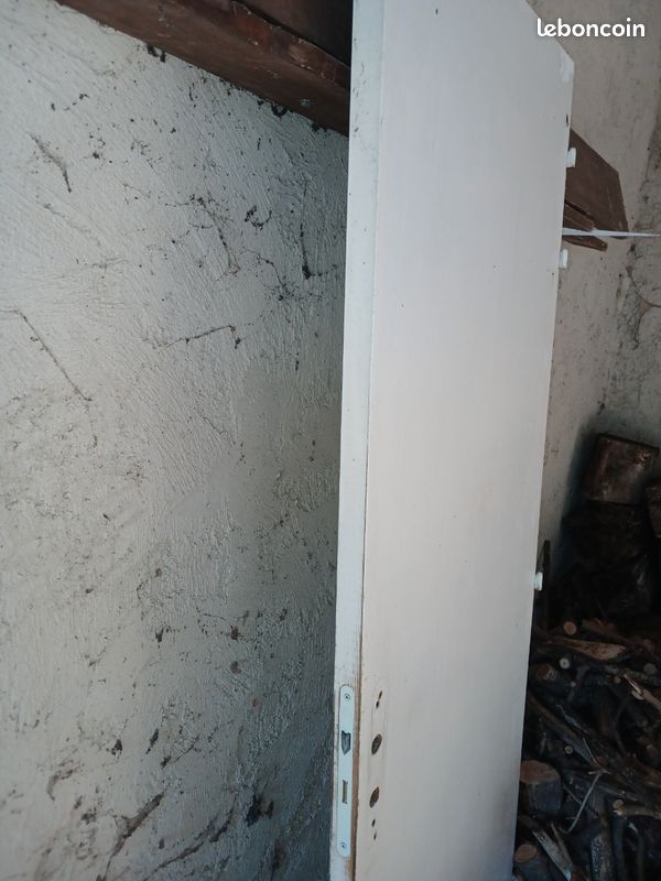 Vends 1 porte 73 cm sans encadrement coupe feu avec chatiere incluse (image 3)
