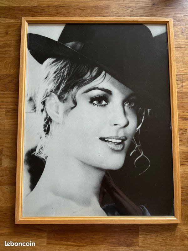 Portrait sous verre Romy Schneider (image 1)