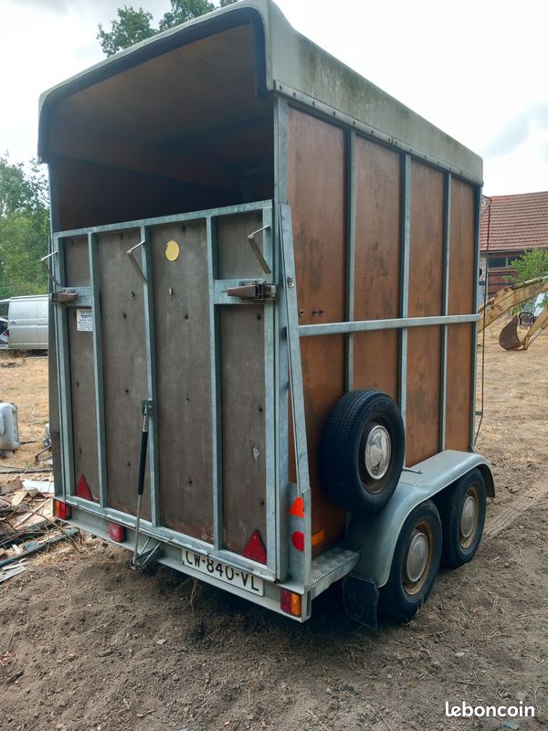 VAN pour 2 chevaux (image 3)