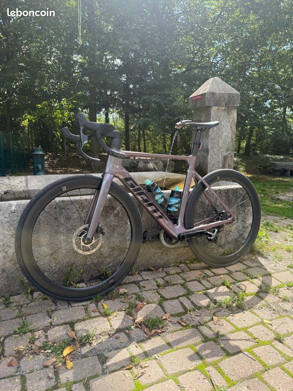 Giant Propel Advanced M (image 3)