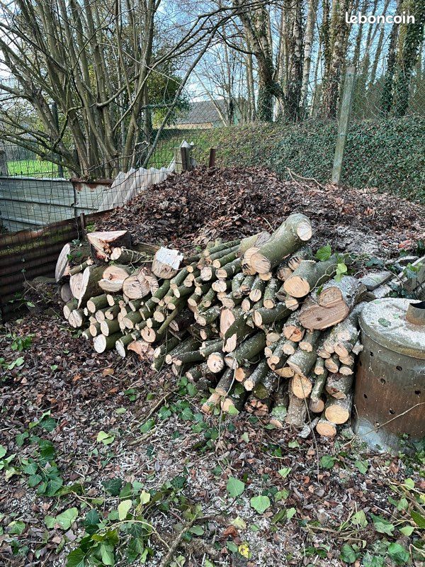 Bois de chauffage 🪵 (image 2)
