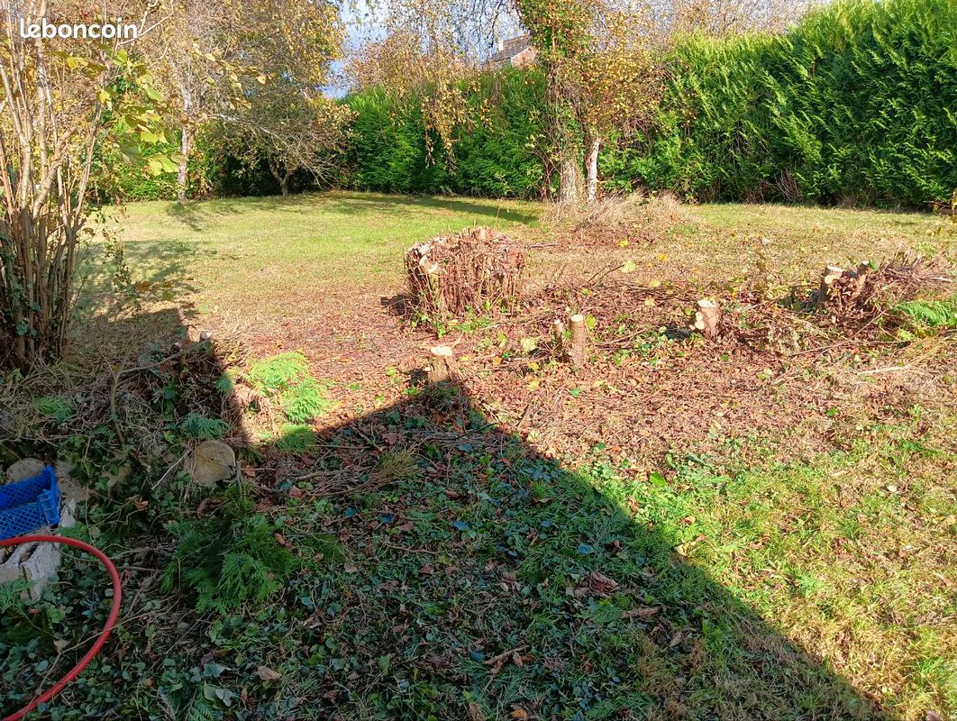 Terrain à vendre (image 1)
