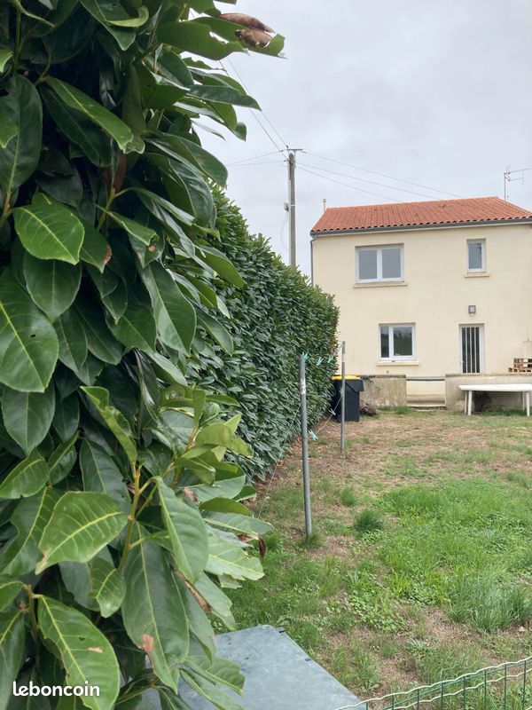 Maison 3 pièces 70 m² · à Sèvremoine · 70 m² · 670 €/mois