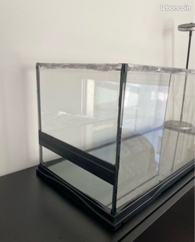 Terrarium (image 2)