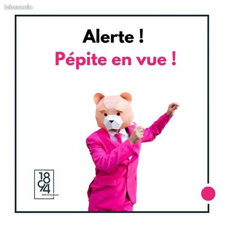 https://img.leboncoin.fr/api/v1/lbcpb1/images/83/6f/fd/836ffd5f799c6bc88a2a5ace0f6f1b487cca27d0.jpg?rule=ad-image