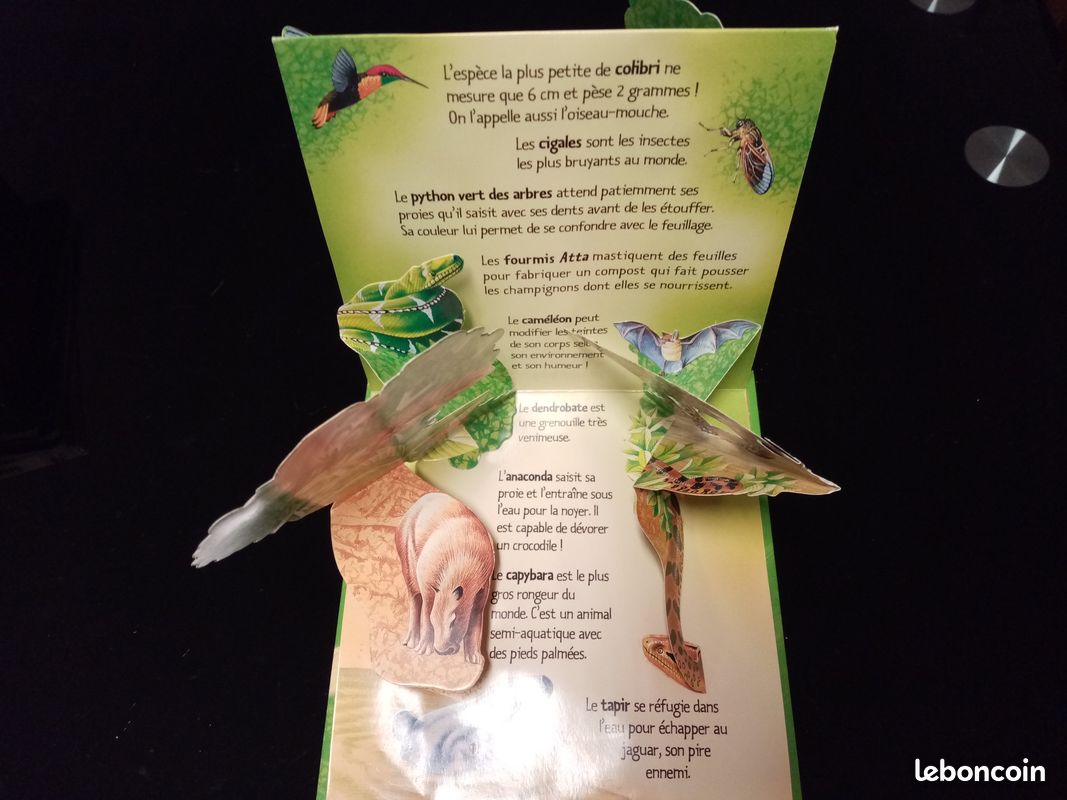 Livre 3D les animaux de la forêt vierge (image 2)