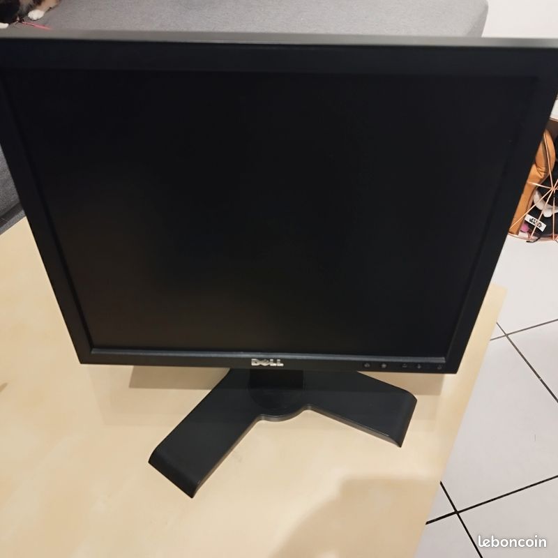 Écran PC 17″ Dell P170SF en bon état (image 1)