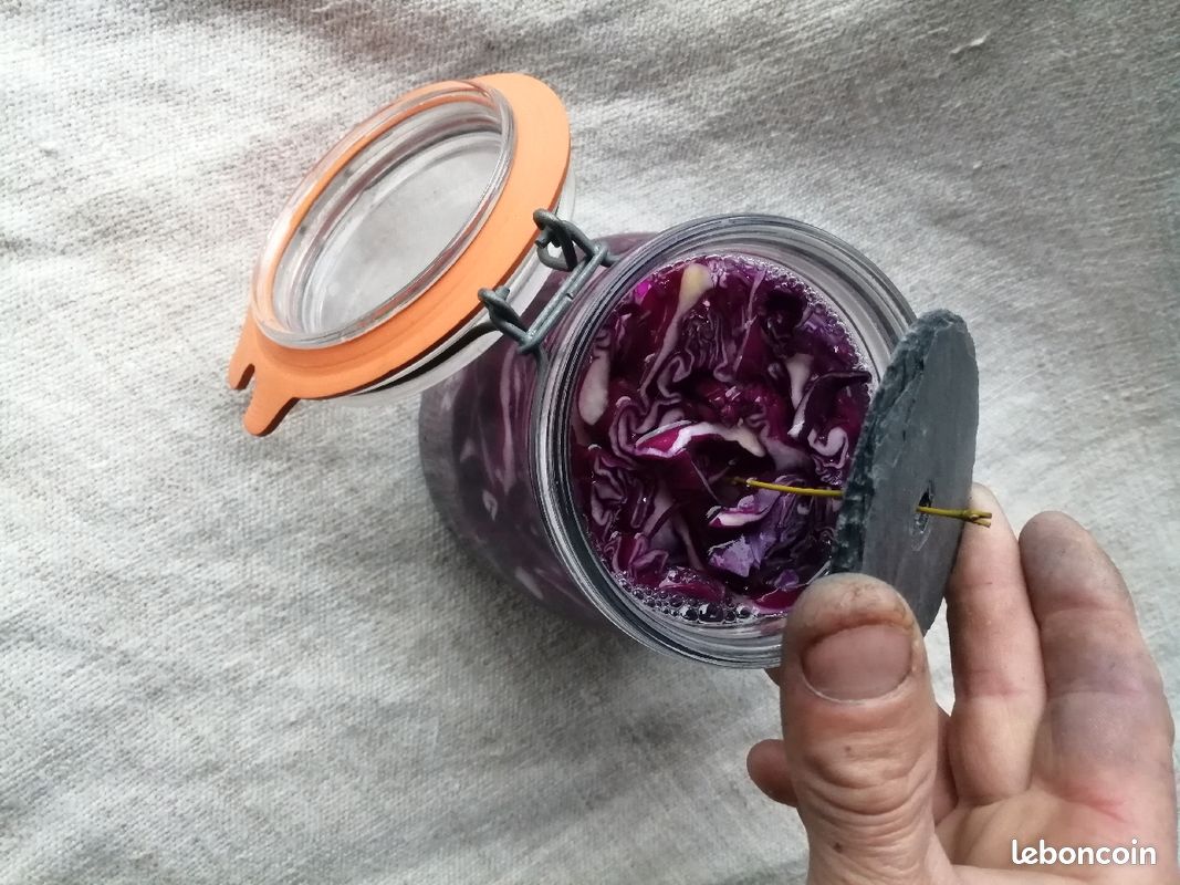 Poids pour lactofermentation en bocaux (Miso, Kimchi, cornichons, ..., le parfait) et tire-poids/légumes (image 10)