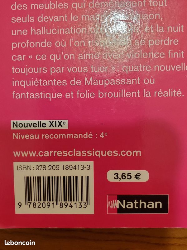 La Folie dans les nouvelles fantastiques, Guy de Maupassant (image 3)