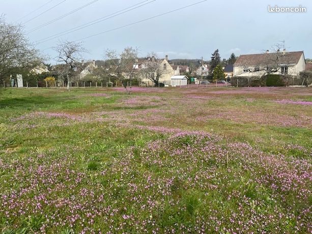 Terrain 2675 m² CHAMPAGNE