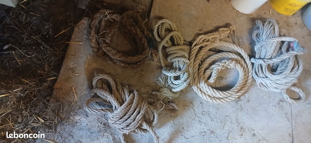 Corde (image 1)