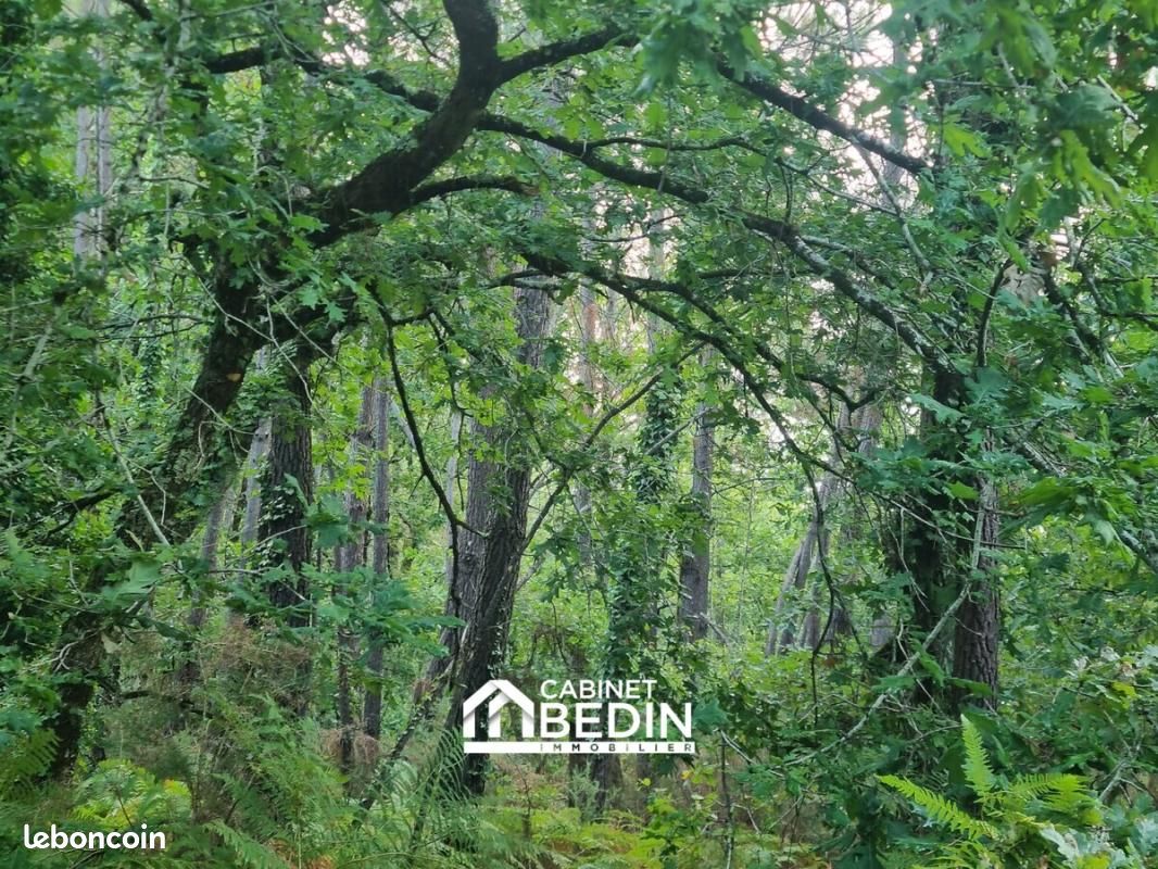 Terrain 2 594 m² Gujan Mestras · à Gujan-Mestras · 11 000 €