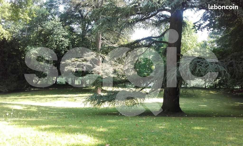 Appartement a louer olivet - 1 pièce(s) - 19 m2 - Surfyn