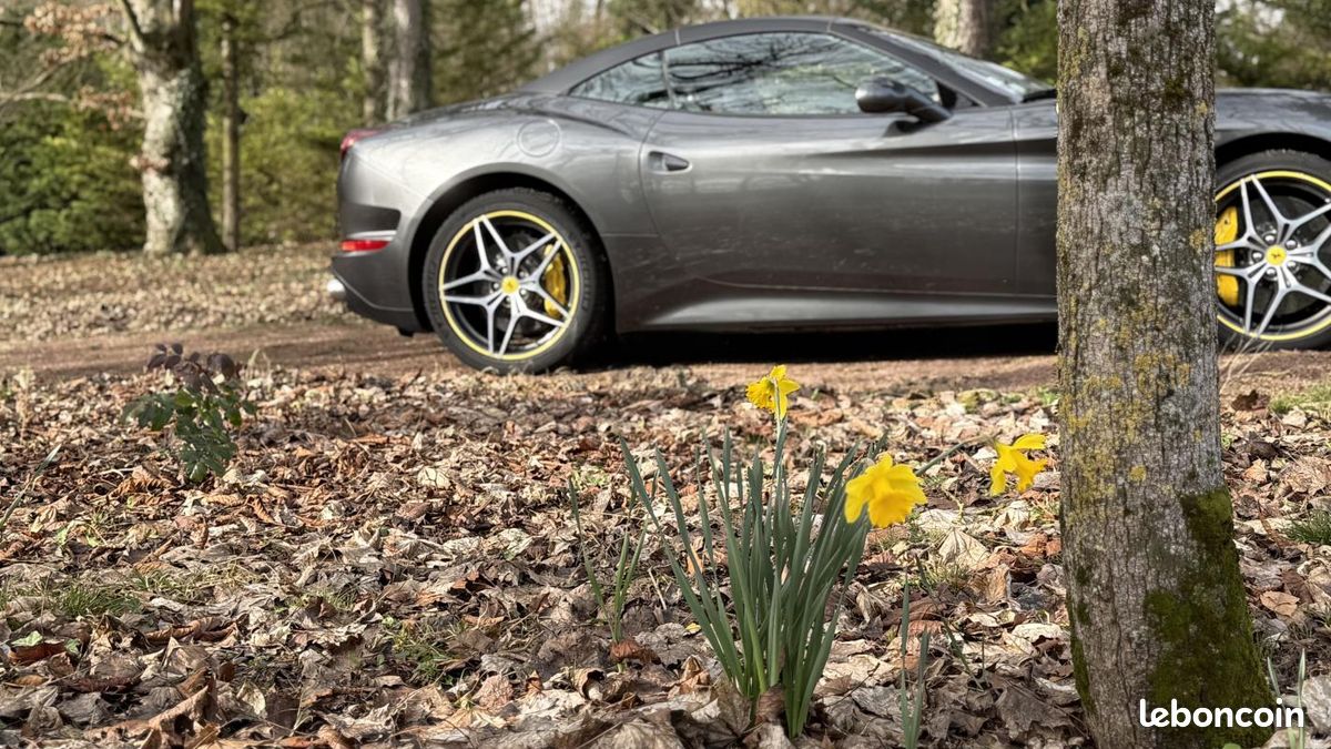 Ferrari California T V8 3.9 560ch (image 45)