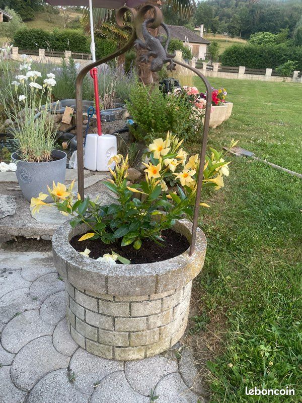 Puits plante (image 1)