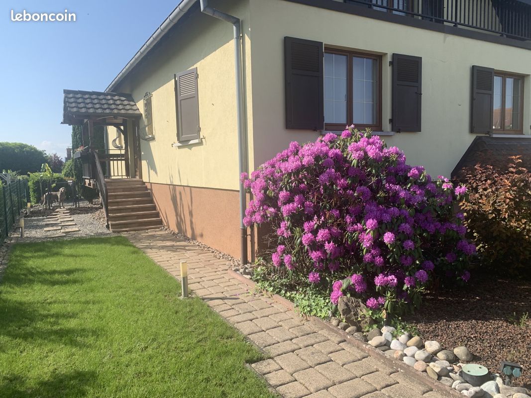 Maison 6 pièces 190 m² · à Blotzheim · 190 m² · 583 000 €