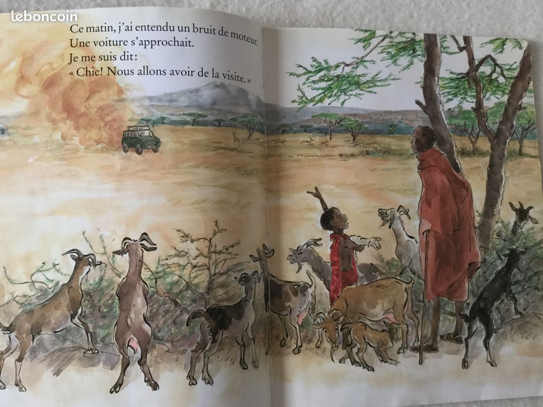 Livre enfant "y a t il des ours en Afrique ?" de Satomi Ichikawa (image 3)