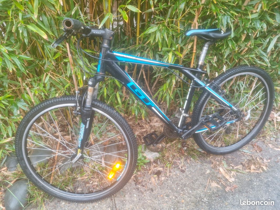 Vélo adulte (image 3)