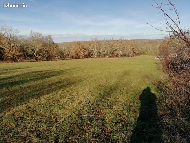 Terrain à bâtir
