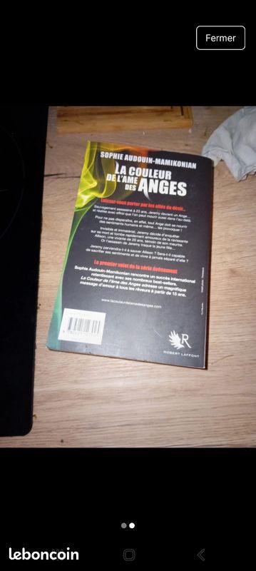 La couleur de l'âme des anges (image 2)