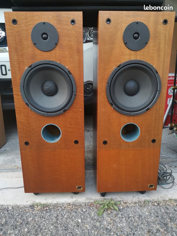 Haut parleur 21cm dans enceintes et caissons de basses