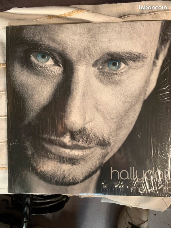 Lots 45 disques vinyles 33 tours johnny Hallyday (image 1)