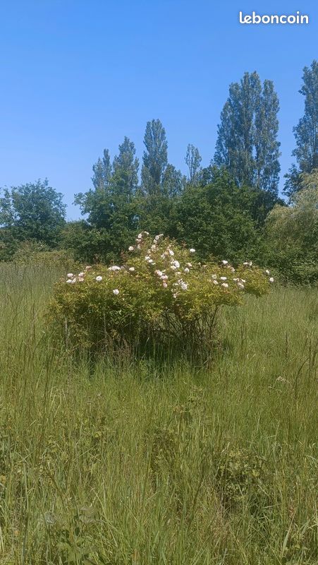 Terrain à vendre à Méréglise – 9 965 m², dont 2 500 m² constructibles · à Mottereau · 150 000 €