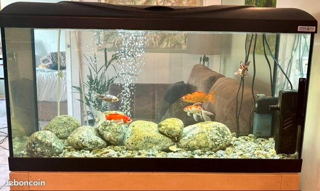 Aquarium (image 1)