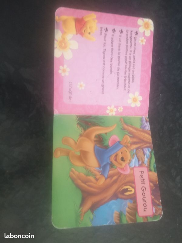 Livre enfant Disney "Winnie l'ourson et ses amis" (image 5)