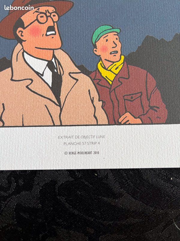 29 planches tintin collection (image 10)