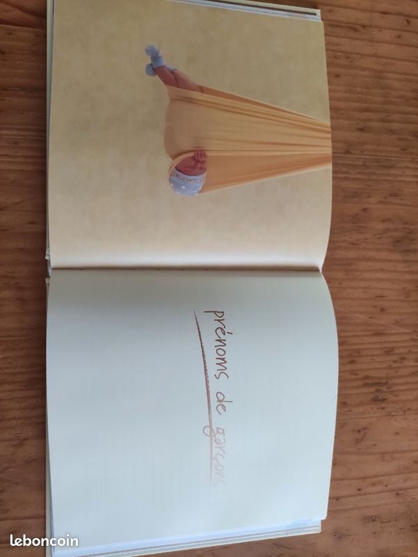 Livres Anne Geddes lot de 2 (image 3)