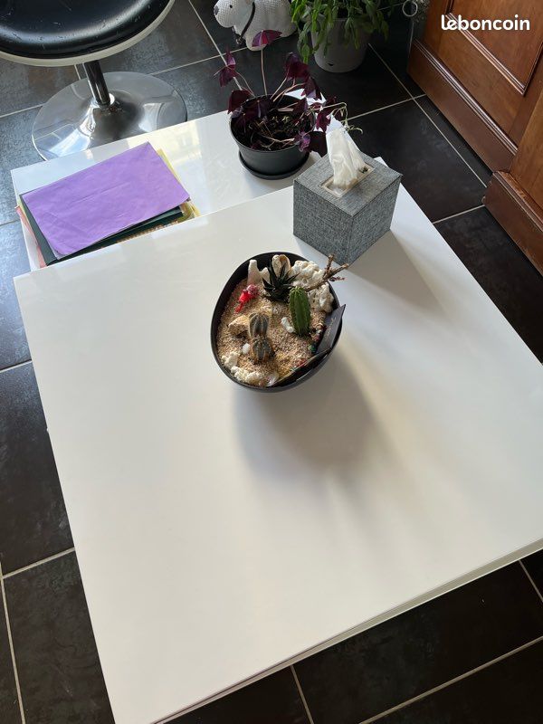 Table basse de salon (image 4)